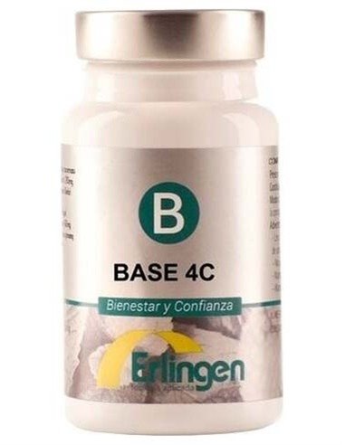 Base 4C 60Comp. de Erlingen