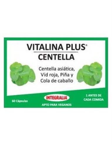 Base Definido 6A 60Comp. de Erlingen