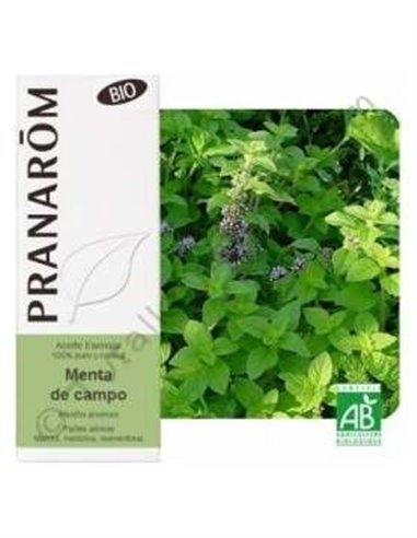 Menta Campo Aceite Esencial Alimentario Bio 10Ml. de Terpenic