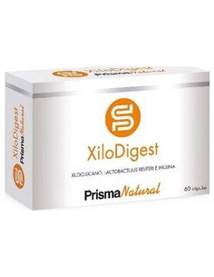 Xilodigest 60Cap. de Prisma Natural