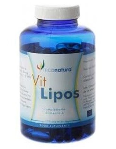 Ginkgo Biloba Infusion 25Bolsitas de Infutisa