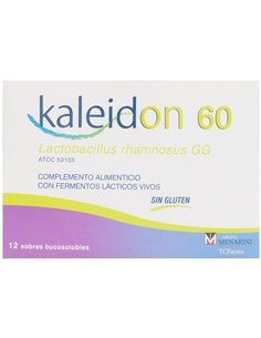 Kaleidon 60 12Sbrs. de Kaleidon