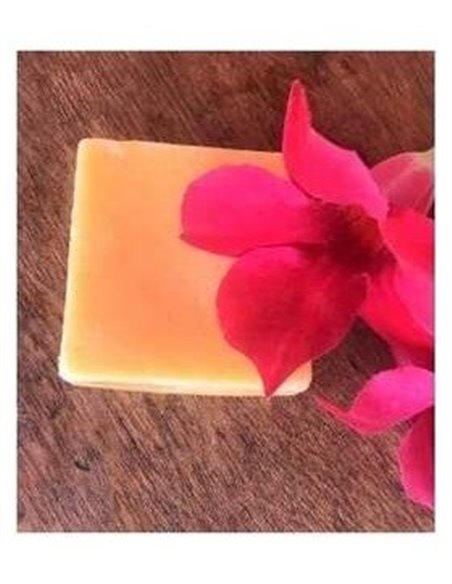 Acondicionador Solido Antifrizz 55Gr. de Nitx