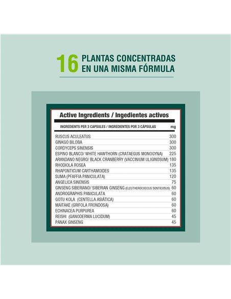 Circuheal 90Cap. de Adaptoheal