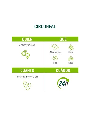 Circuheal 90Cap. de Adaptoheal