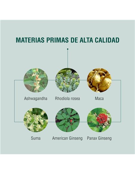 Energyheal 90Cap. de Adaptoheal