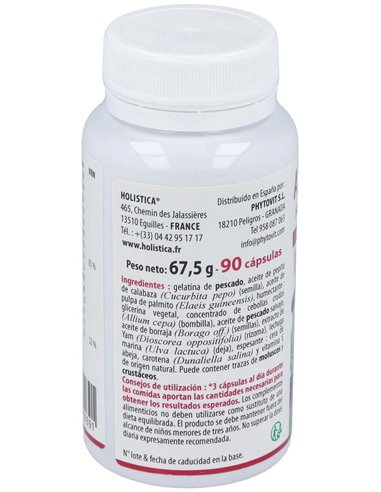 Androlistica 90Cap. de Holistica