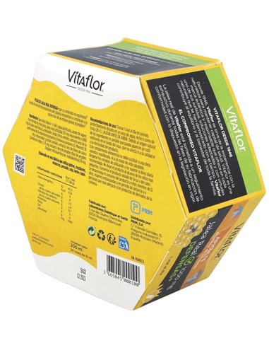 Vitaflor Defensas Echinacea 20Viales de Vitaflor