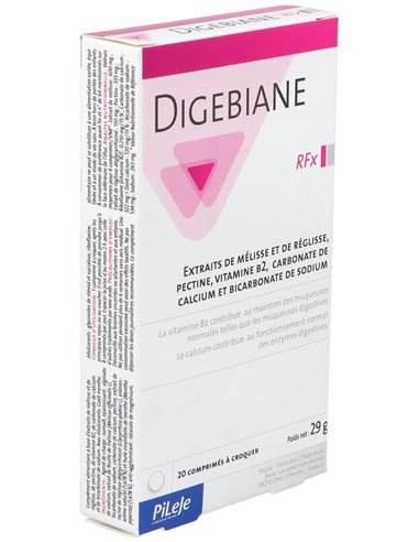 Digebiane Rfx 20 comp mast de Pileje