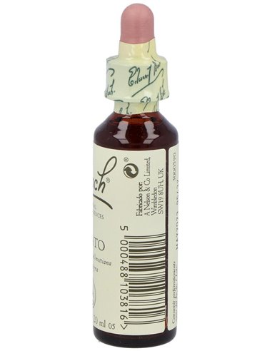 (05) Cerato  de Bach