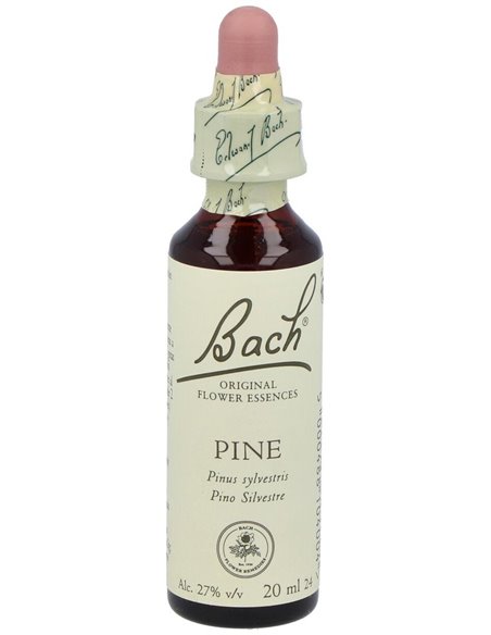 (24) Pine de Bach