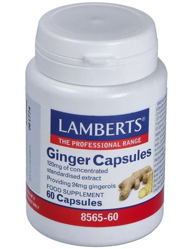 Jengibre 14.400 mg (24 mg de gingeroles) 60 Caps. de Lamberts
