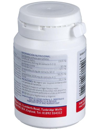 Complejo de Castaño de Indias de Lamberts