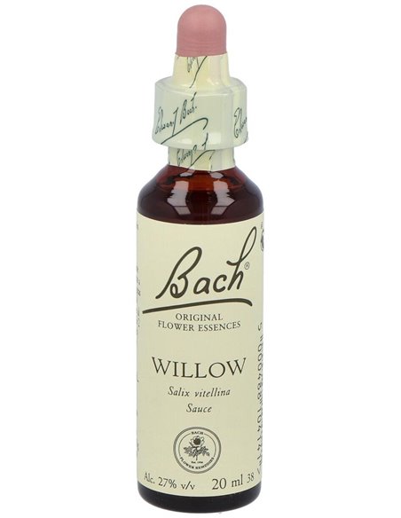 (38) Willow de Bach
