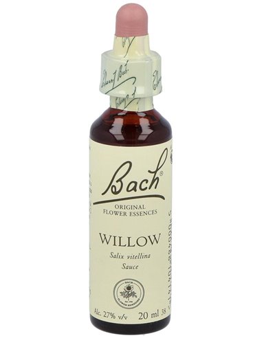(38) Willow de Bach