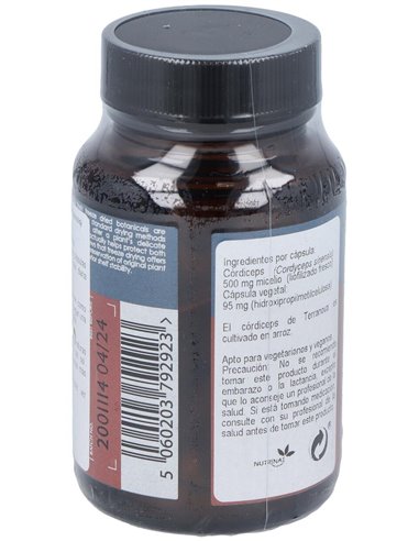 Córdiceps 500 Mg (Cordyceps Sinensis)  50 Vcáps de Terranova
