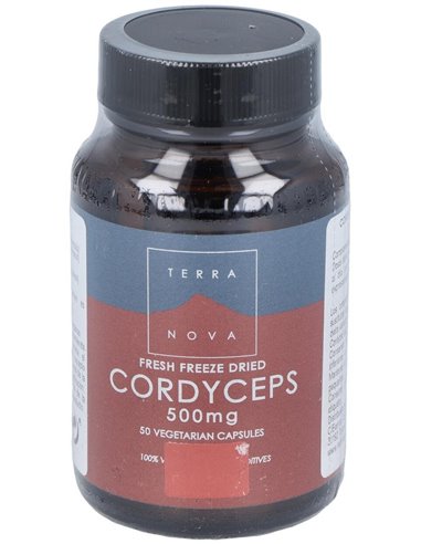 Córdiceps 500 Mg (Cordyceps Sinensis)  50 Vcáps de Terranova