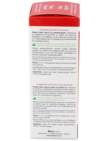 Ext. Grosellero Negro (Ribes N.) 100Ml. Bio de Physalis