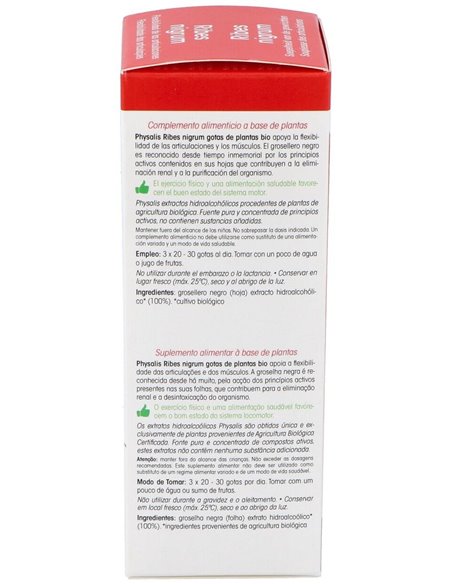 Ext. Grosellero Negro (Ribes N.) 100Ml. Bio de Physalis