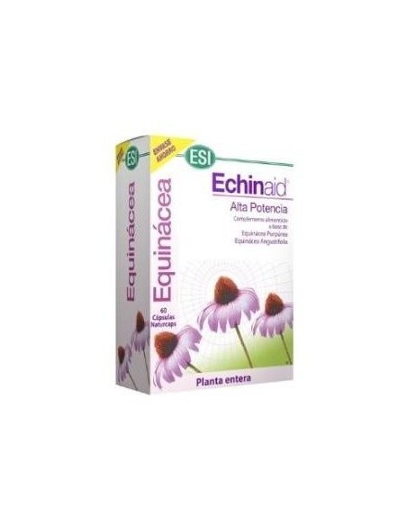 Echinaid 60Cap. de Trepatdiet-Esi