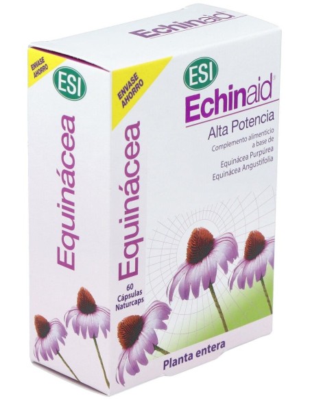 Echinaid 60Cap. de Trepatdiet-Esi