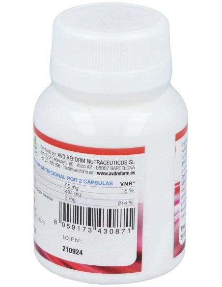 T-Mag 60Cap. de Avd Reform