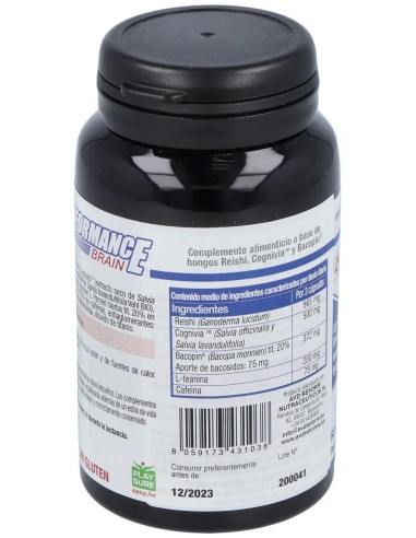 Performance Brain 60Cap. de Avd Reform