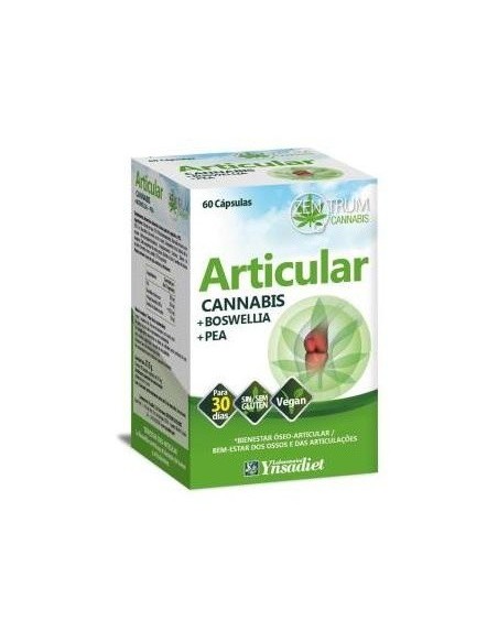 Articular 60 Caps. V de Ynsadiet