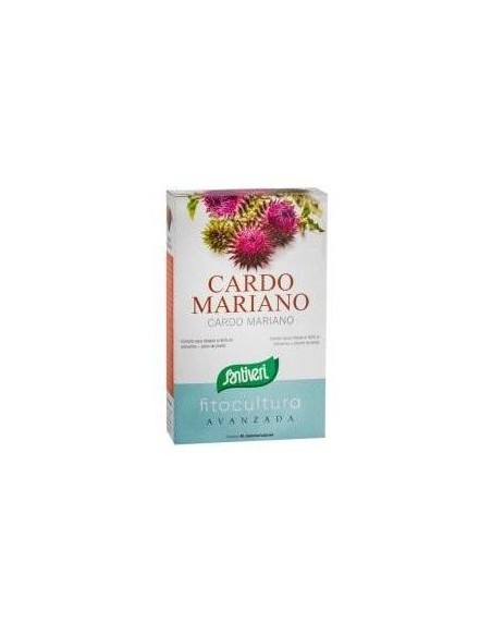 Cardo Mariano 40Cap. de Santiveri