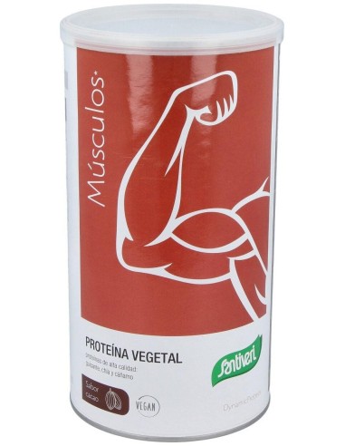 Dynamic Proteina Vegetal Cacao 455Gr. de Santiveri
