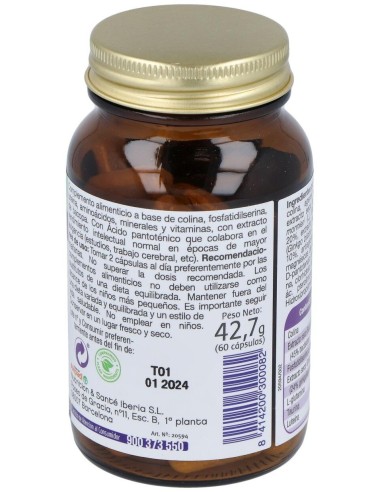 Mega Intelecto 60Cap. de Dietisa (Dielisa)