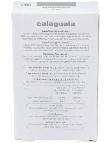 Cap.S 08 Calaguala Xxi 30Cap. de Soria Natural