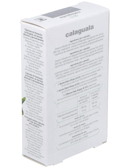 Cap.S 08 Calaguala Xxi 30Cap. de Soria Natural