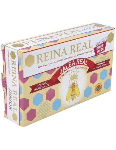 Reina Real Junior 20Amp. de Robis