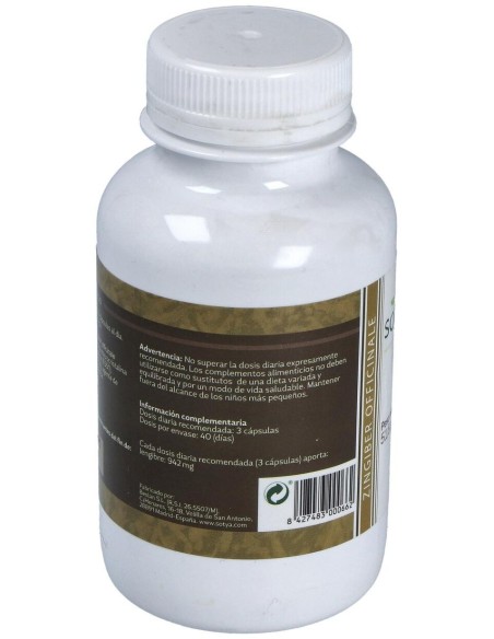 Jengibre 120Cap. de Sotya