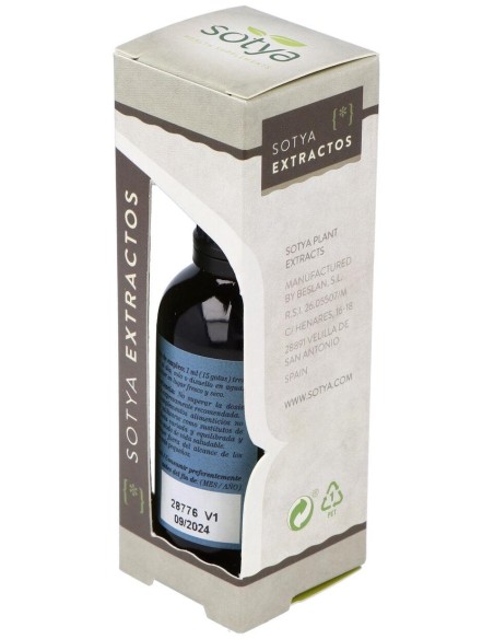 Extracto Ginkgo Biloba 50Ml. de Sotya