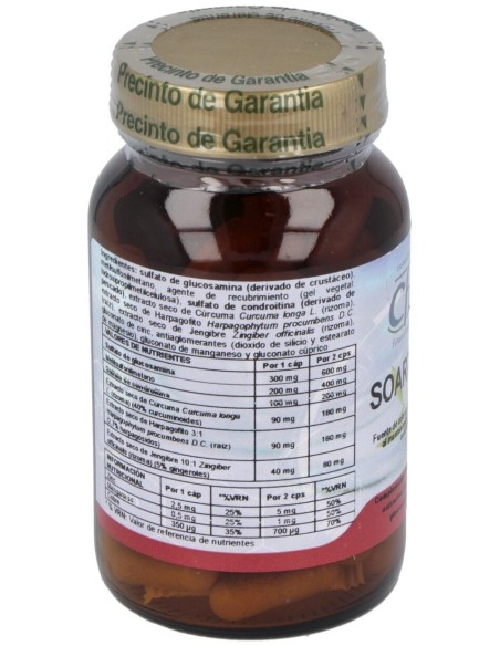 Soart Plus 60Cap. de Cfn