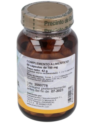 Lisina 500Mg. 60Cap. de Cfn