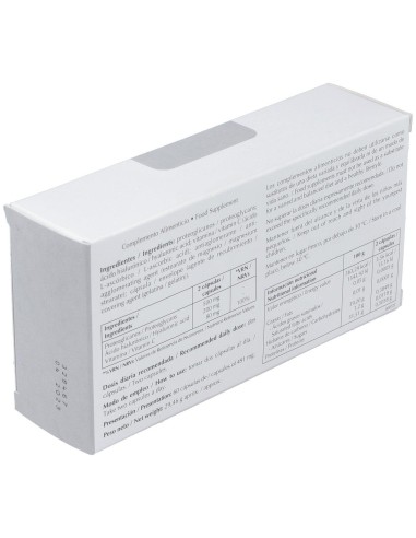 Pg Regenhial 60Cap. de Lavigor