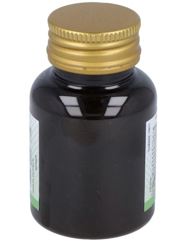 Cafe Verde Tisana Bio-20 Filtros de Noefar