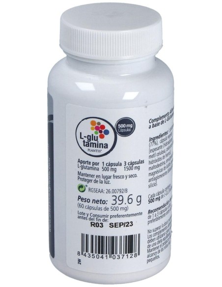 Glutamina 60Cap. de Artesania