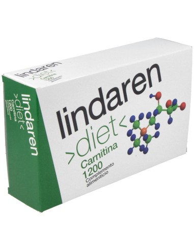 Carnitina 1200 Lindaren20X10Ml de Artesania
