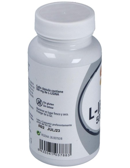 L-Lisina 60Cap. de Artesania