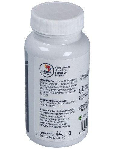 L-Lisina 60Cap. de Artesania