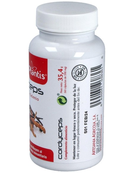 Cordyceps Plantis 60Cap. de Artesania