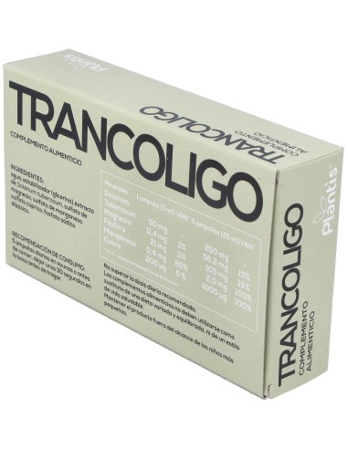 Trancoligo 20 Amp. de Artesania