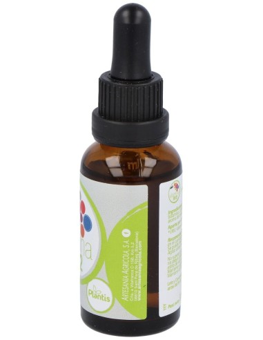 Vitamina B12 Liquida 30Ml. de Artesania