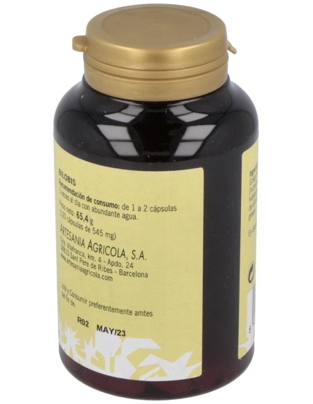 Bilobis Plantis (Ext.Seco Ginkgo Biloba) 120Cap. de Artesania