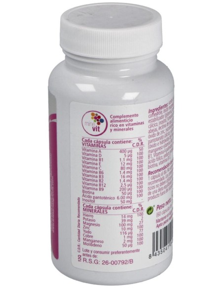 Minevit 60Cap. de Artesania