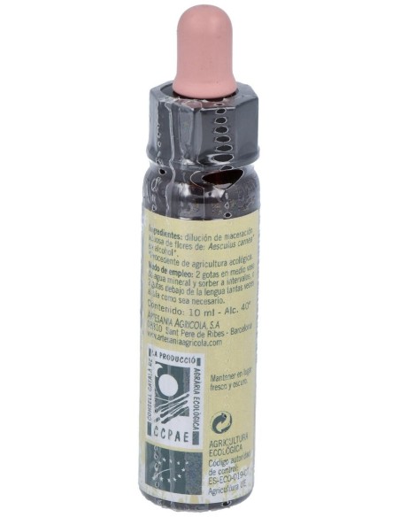 Castaño Rojo-25 Ecoplantis10Ml de Artesania